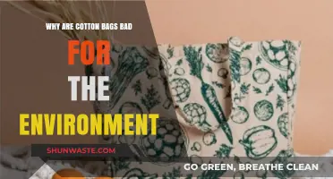 The Hidden Environmental Costs of Reusable Cotton Shopping Bags