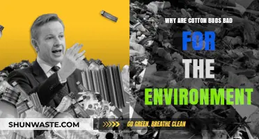 Cotton Buds' Hidden Environmental Impact: A Small Item, Big Problem