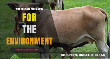 Cow Farts: Surprising Environmental Benefits of Bovine Gas Emissions