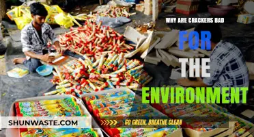 Crackers' Environmental Impact: Uncovering Their Hidden Ecological Footprint