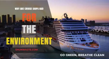 Cruise Ships' Environmental Impact: Pollution, Wildlife Threats, and Unsustainable Practices