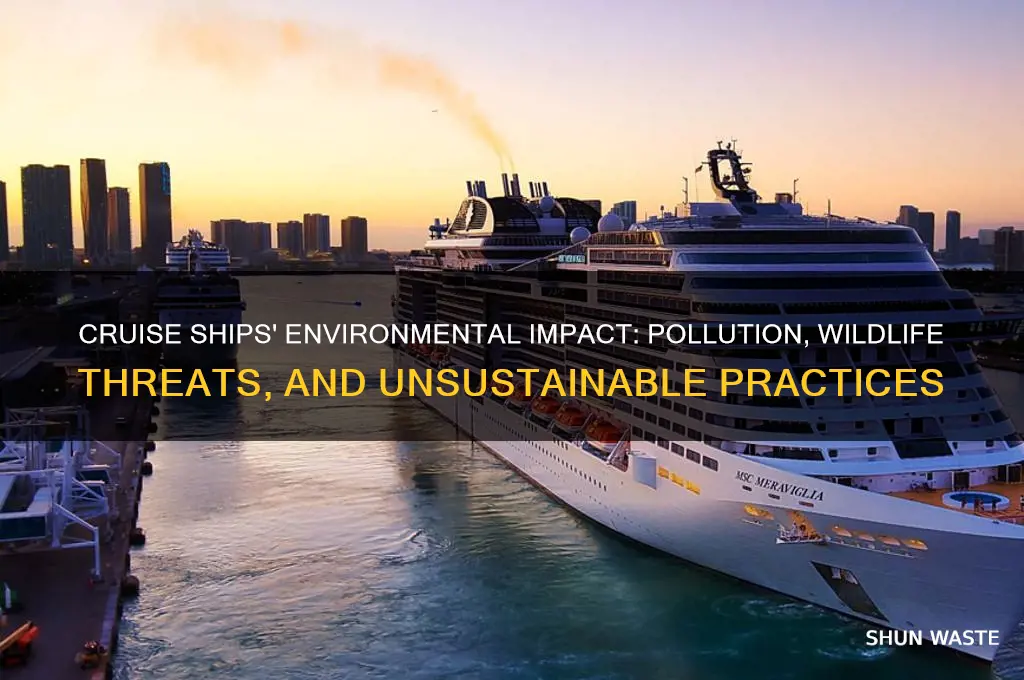 why are cruise ships bad for the environment