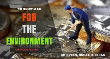 Cryptocurrency's Dark Side: Environmental Impact and Sustainability Concerns