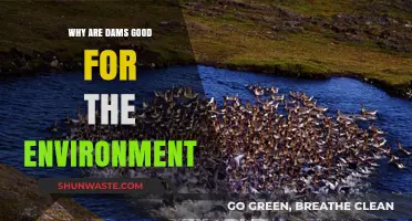 Eco-Friendly Benefits: How Dams Positively Impact Our Environment