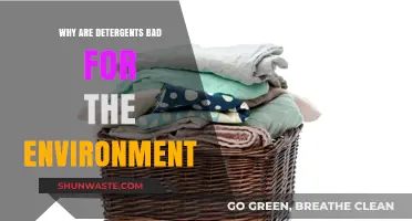 Detergents' Environmental Impact: Harmful Effects and Sustainable Alternatives