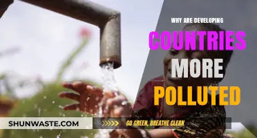 Pollution Crisis: Why Developing Nations Bear the Heaviest Environmental Burden