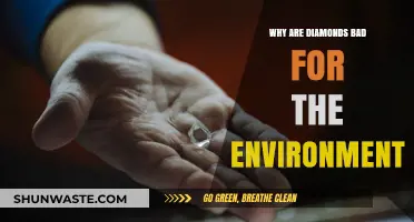 The Dark Sparkle: Diamonds' Devastating Environmental Impact Explained