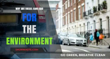 Diesel Cars' Environmental Impact: Pollution, Emissions, and Ecological Concerns