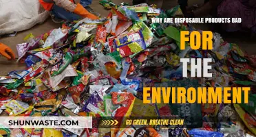 Disposable Products' Environmental Impact: Harmful Effects and Sustainable Alternatives