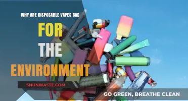 Disposable Vapes: Environmental Hazards and Sustainable Alternatives Explained