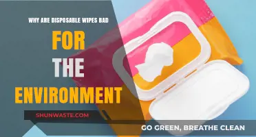 Disposable Wipes' Environmental Impact: Pollution, Clogged Pipes, and Plastic Waste