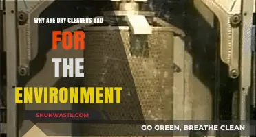 Dry Cleaners' Dark Side: Environmental Impact and Sustainable Alternatives