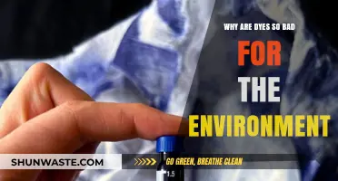 The Hidden Environmental Costs of Synthetic Dyes: A Toxic Truth