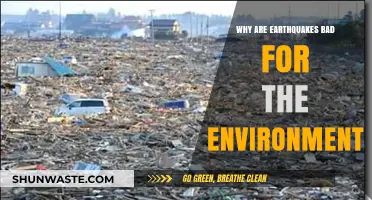 Earthquakes' Devastating Environmental Impact: Destruction, Disruption, and Long-Term Consequences