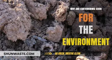 Earthworms: Unsung Heroes Boosting Soil Health and Ecosystems