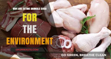 Sustainable Meat Consumption: How Eating Animals Benefits Our Environment