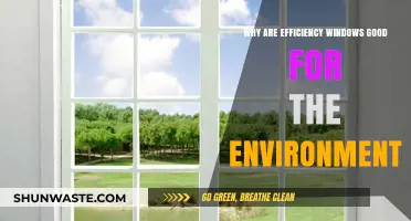 Eco-Friendly Efficiency Windows: Reducing Energy Use and Carbon Footprint
