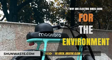 Eco-Friendly Commuting: How Electric Bikes Benefit Our Environment