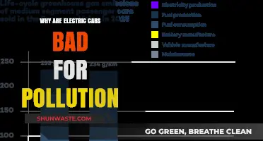 Electric Cars and Pollution: Uncovering the Hidden Environmental Costs