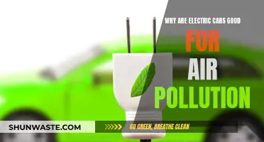 Electric Cars: Pollution Solution for Cleaner Air