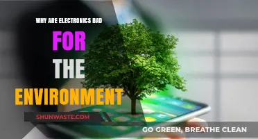 The Environmental Impact of Electronics: Uncovering Hidden Ecological Costs