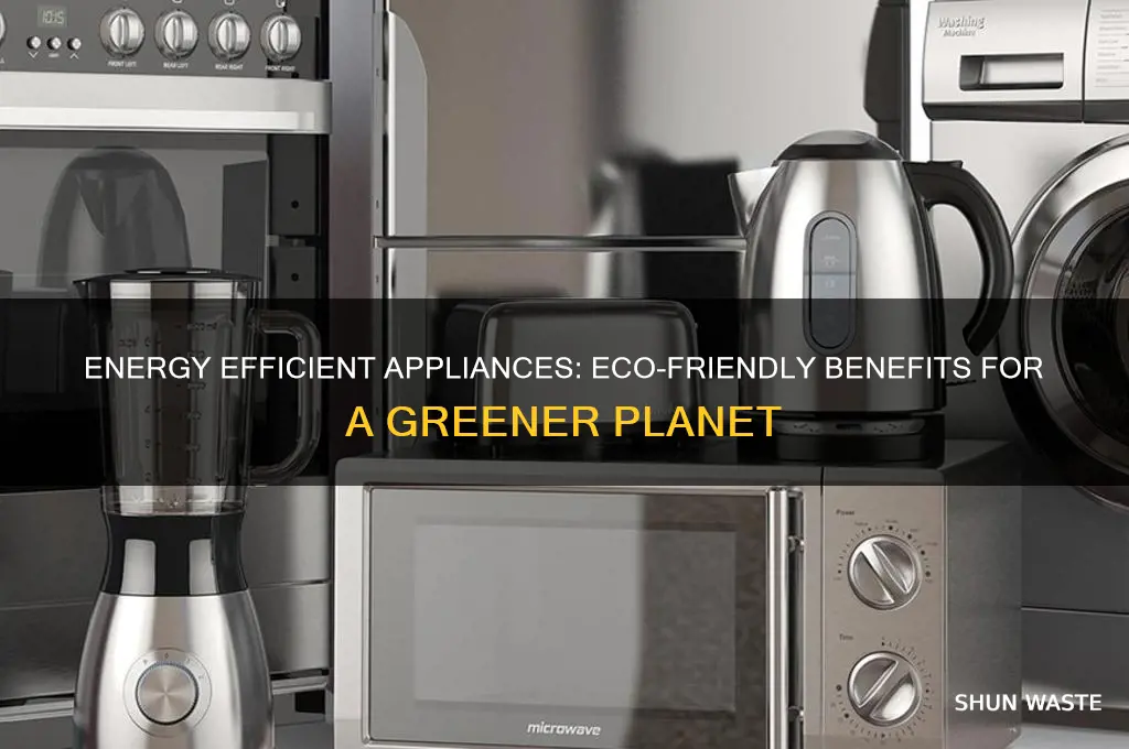 Photo inspiration: Energy Efficient Appliances Eco Friendly Benefits For A Greener Planet Photo Inspiration