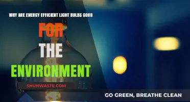 Energy Efficient Light Bulbs: Eco-Friendly Benefits for a Greener Planet