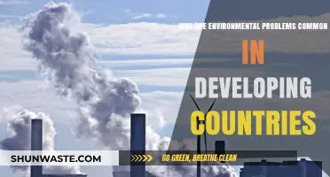 Developing Nations: Environmental Crises and Challenges