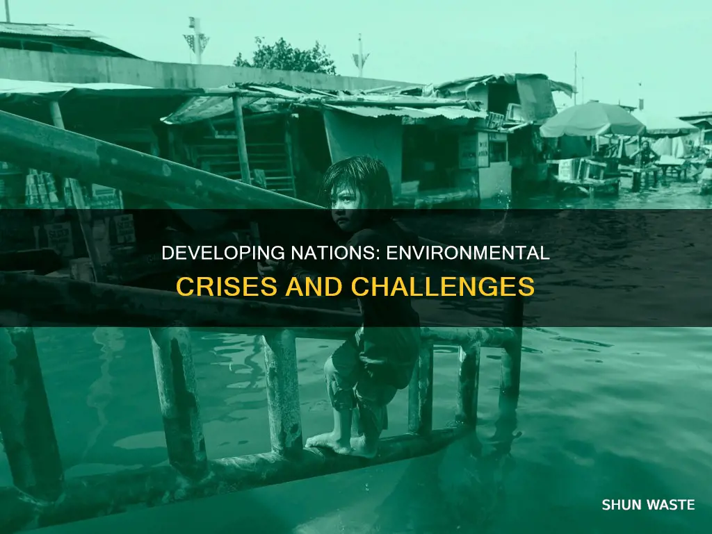 why are environmental problems common in developing countries