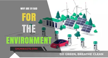 Electric Vehicles' Hidden Environmental Costs: Debunking the Green Myth