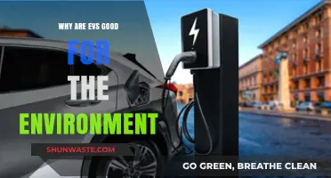Eco-Friendly Driving: How Electric Vehicles Benefit Our Planet