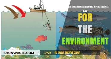 Nutrient Overload: How Excess Harms Ecosystems and Our Planet