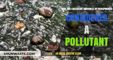 Excess Phosphorus: A Hidden Pollutant Threatening Ecosystems and Water Quality