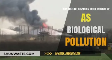 Exotic Species: Understanding Their Role as Biological Pollutants