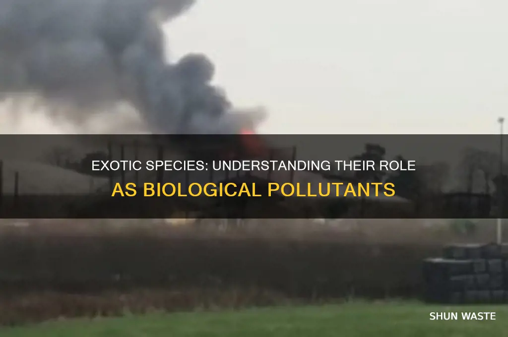 why are exotic species often thought of as biological pollution