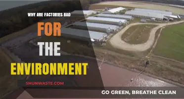 Factories' Environmental Impact: Pollution, Waste, and Ecosystem Destruction Explained