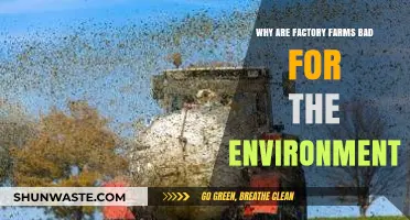 Factory Farms' Environmental Impact: Pollution, Deforestation, and Climate Crisis