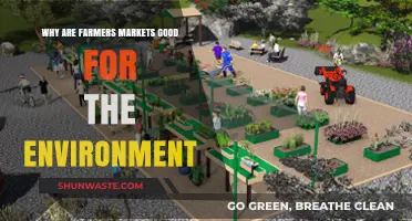 Sustainable Shopping: How Farmers Markets Benefit Our Planet