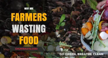 Harvesting Waste: The Paradox of Food Loss in Agriculture