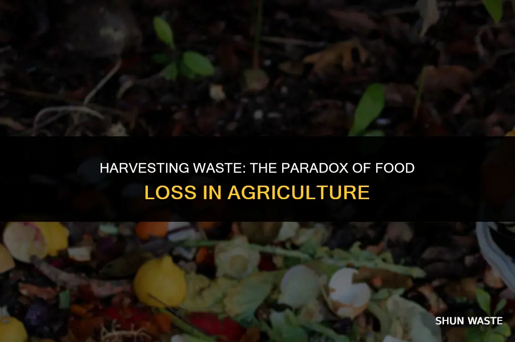 why are farmers wasting food