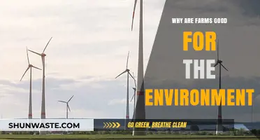Sustainable Farming: How Agriculture Benefits Our Planet and Ecosystems