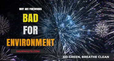 Fireworks' Environmental Impact: Pollution, Wildlife Harm, and Sustainable Alternatives