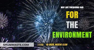 Fireworks' Environmental Impact: Pollution, Wildlife Harm, and Ecosystem Disruption Explained