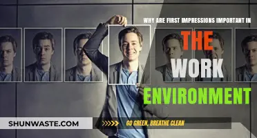 First Impressions Matter: Shaping Success in the Workplace Environment