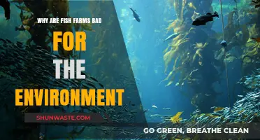Fish Farms' Hidden Costs: Environmental Impacts and Unsustainable Practices