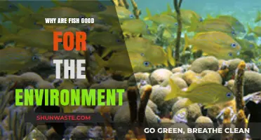 Fish: Eco-Friendly Heroes Supporting Aquatic Ecosystems and Biodiversity