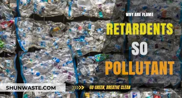 The Hidden Environmental Impact of Flame Retardants: A Toxic Legacy