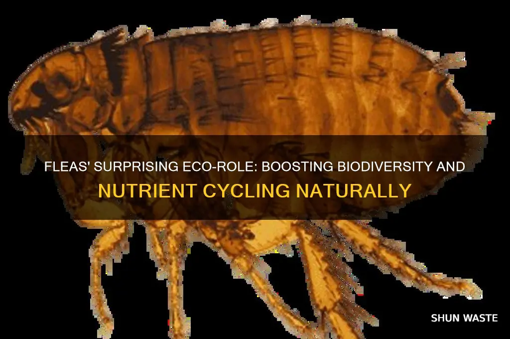 why are fleas good for the environment