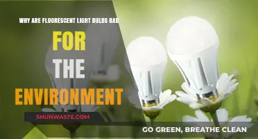 Fluorescent Light Bulbs' Hidden Environmental Impact: What You Need to Know