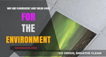Eco-Friendly Lighting: Fluorescent Bulbs' Environmental Benefits Explained